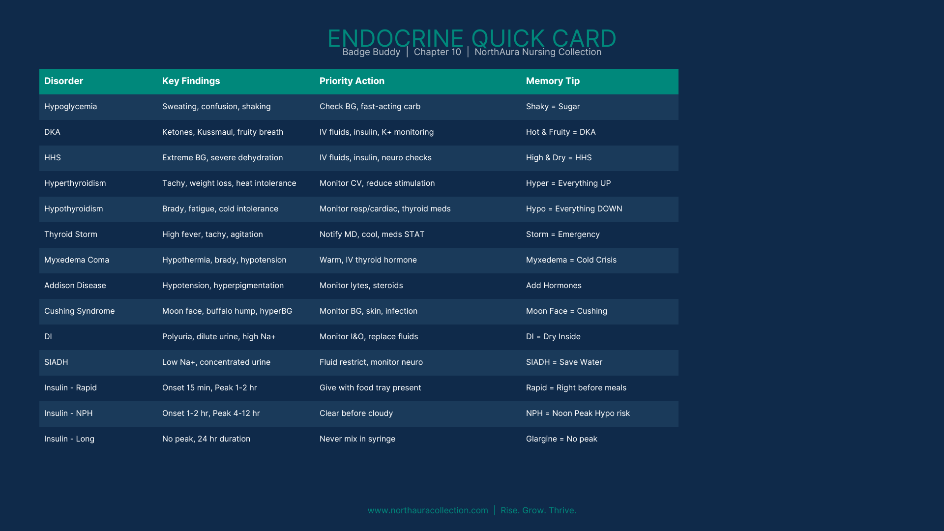 NCLEX bundle — Endocrine Badge Buddy quick card