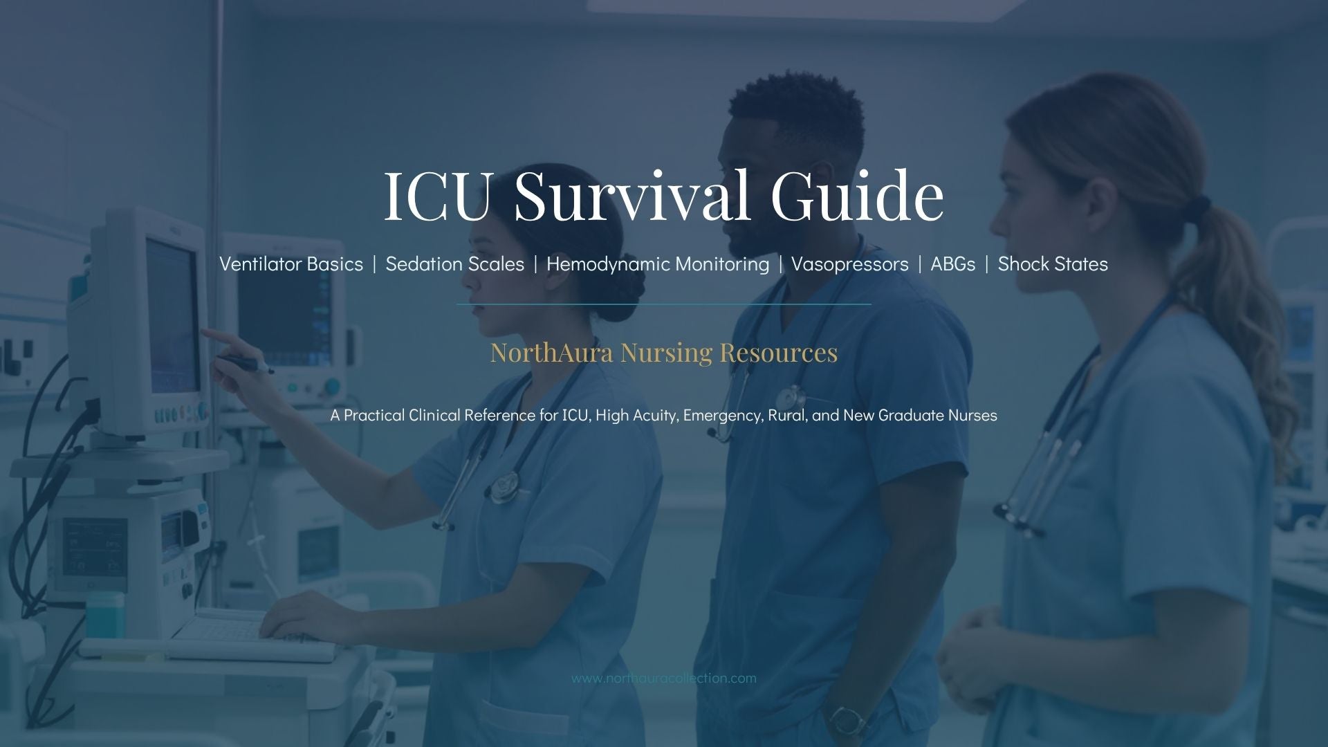 🫀 ICU Nurse Master Bundle. More than 300 Pages Divided Across individual Guides Digital Download PDF